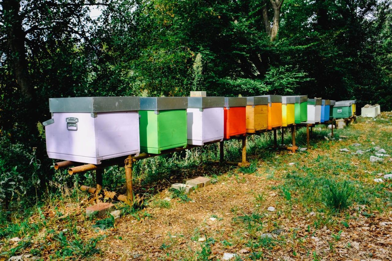 Ca' Fenile Alloggio per agriturismo Alzano Lombardo