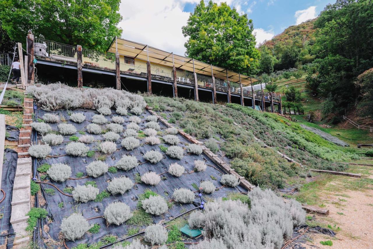 Alloggio per agriturismo Ca' Fenile Alzano Lombardo