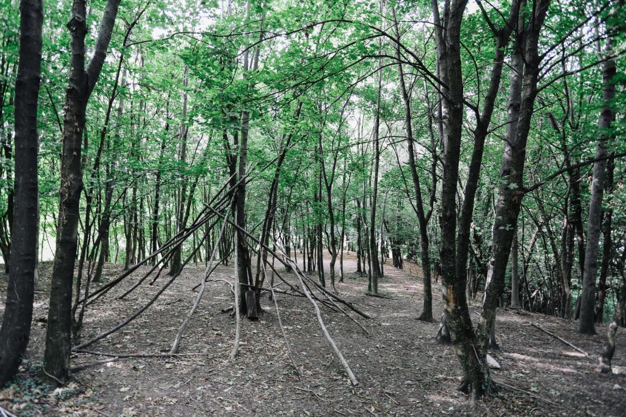 Alloggio per agriturismo Ca' Fenile *